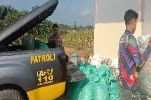 Dukung Asta Cita, Polres Gunung Mas Perkuat Ketahanan Pangan Lewat Panen Jagung Produktif