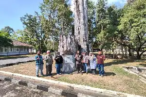 Acelerando Go Green 2045, Papúa Central se asocia con Java Oriental para preparar 30 millones de plántulas de árboles