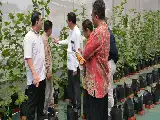 Kupas Tuntas Prodi Agribisnis UIN Jakarta: Integrasikan Ilmu Pertanian, Ekonomi, dan Manajemen Modern