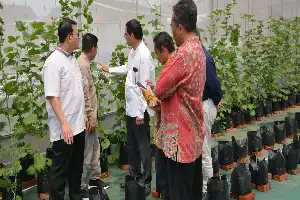 Análisis detallado del Programa de Agronegocios de la UIN Jakarta: Integración de Ciencias Agrícolas, Economía y Gestión Moderna