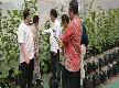 Kupas Tuntas Prodi Agribisnis UIN Jakarta: Integrasikan Ilmu Pertanian, Ekonomi, dan Manajemen Modern