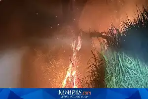 Un incendio afecta la ruta de senderismo del monte Slamet, presuntamente causado por la negligencia de un excursionista