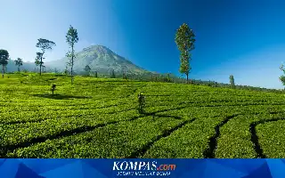 El Monte Lawang abre oficialmente: promoviendo el concepto de ecoturismo basado en la conservación de la naturaleza