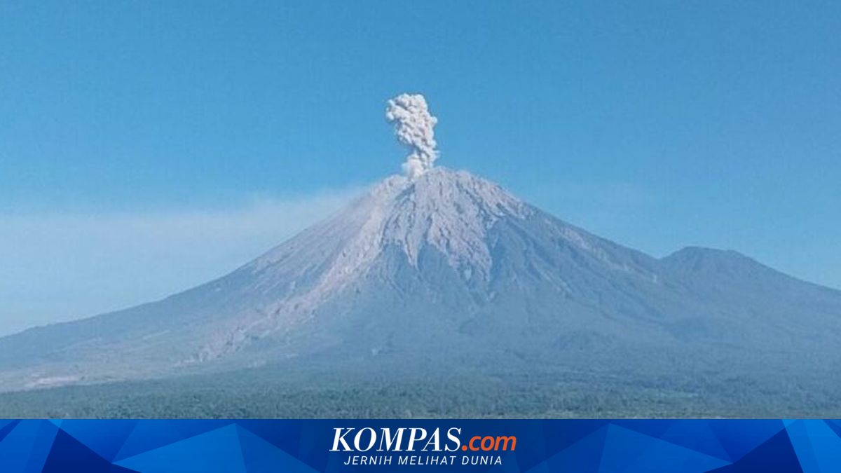 Aktivitas Vulkanik Meningkat, Gunung Semeru Erupsi Enam Kali Hari Ini