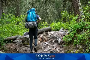 Kelelahan Saat Mendaki "Tektok" di Gunung Gede, Balai Besar TNGGP Ingatkan Pentingnya Persiapan Fisik