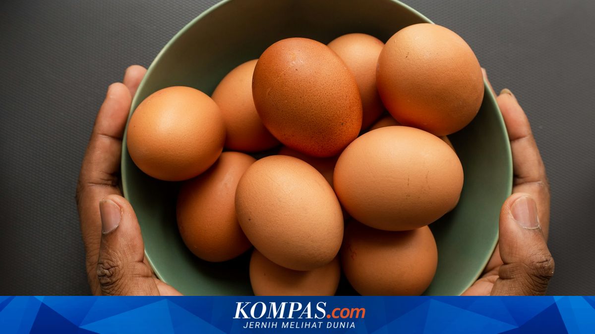 Studi Baru Ungkap Konsumsi Lima Telur Seminggu Berpotensi Turunkan Risiko Alzheimer pada Lansia