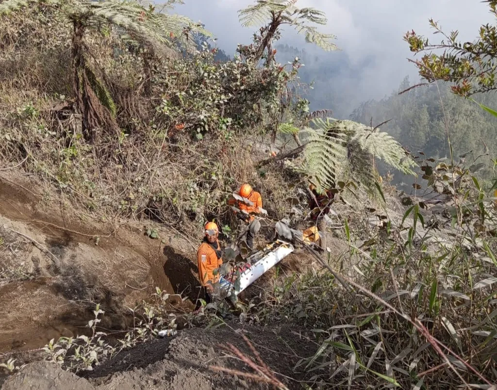Tim SAR Berjibaku Evakuasi Pendaki Ilegal yang Terperosok ke Jurang Semeru