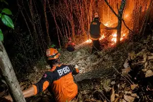 Un equipo conjunto logra apagar un incendio forestal en el monte Pucang Rangga, Lumajang
