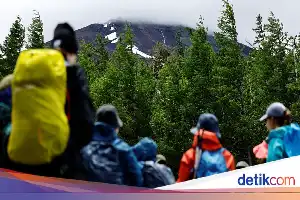 Bear Terror on Mount Rausu, Four Hikers Airlifted to Safety