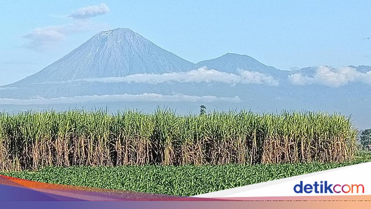 Terobos Jalur Terlarang, Tiga Pendaki Gunung Semeru Kena Sanksi Blacklist 5 Tahun