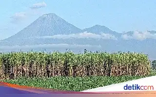 Trespassing Forbidden Route, Three Mount Semeru Hikers Face 5-Year Blacklist