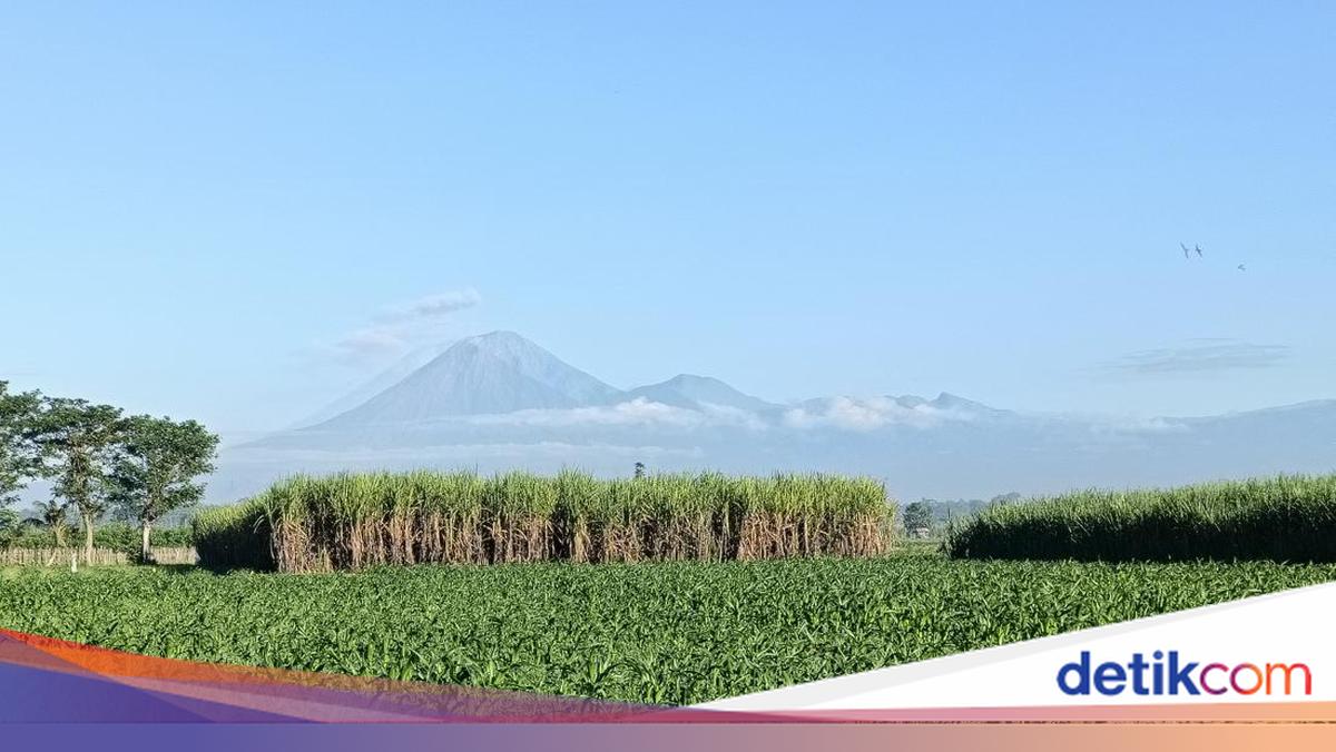 Aktivitas Vulkanik Meningkat, Gunung Semeru Erupsi 18 Kali dalam Enam Jam