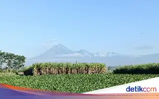 Volcanic Activity Increases, Mount Semeru Erupts 18 Times in Six Hours