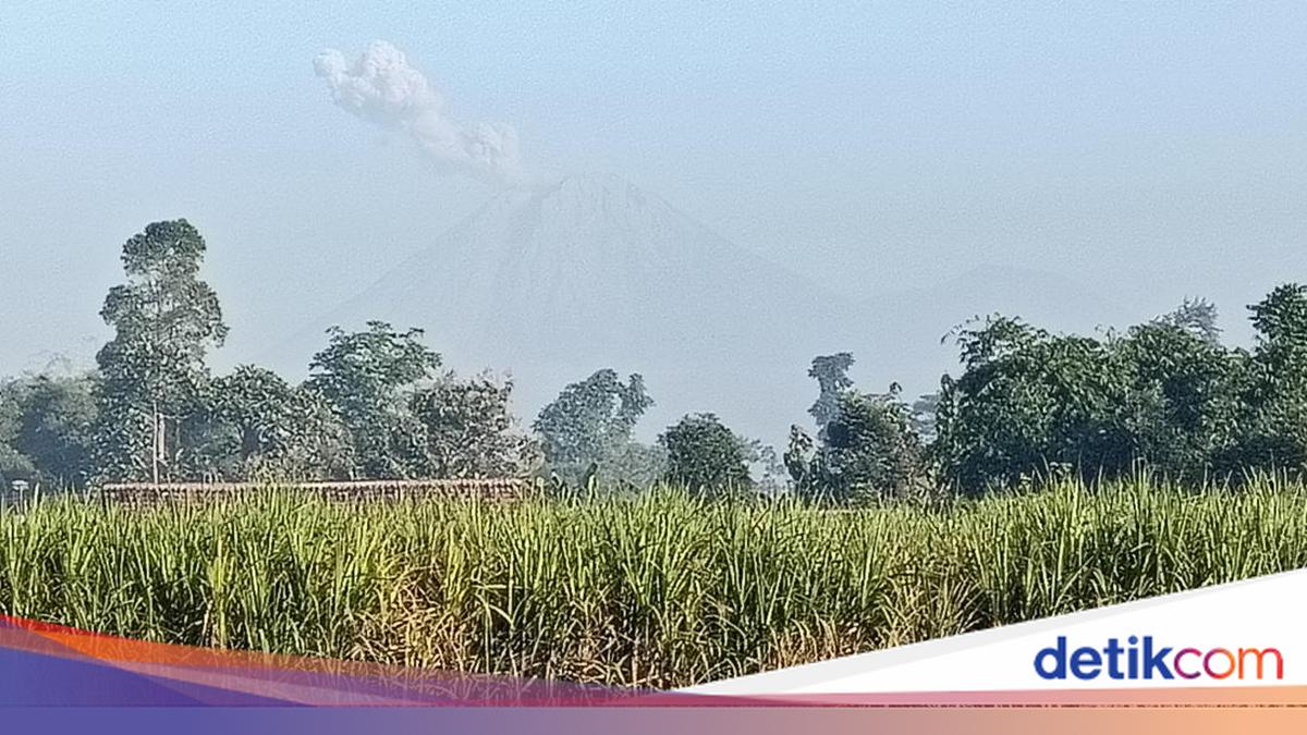 Gunung Semeru Kembali Erupsi, Luncurkan Guguran Lava Pijar Sejauh 1 Kilometer