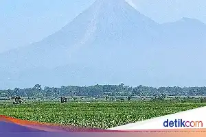 Semeru Volcanic Activity Increases: Five Incandescent Lava Flows Observed