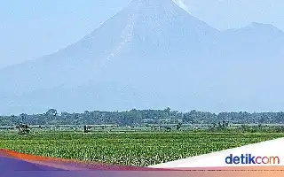 Semeru Volcanic Activity Increases: Five Incandescent Lava Flows Observed