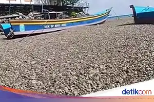 Fenomena Batu Apung di Pesisir Papua: BMKG Ungkap Dampak Erupsi Gunung Bawah Laut di PNG