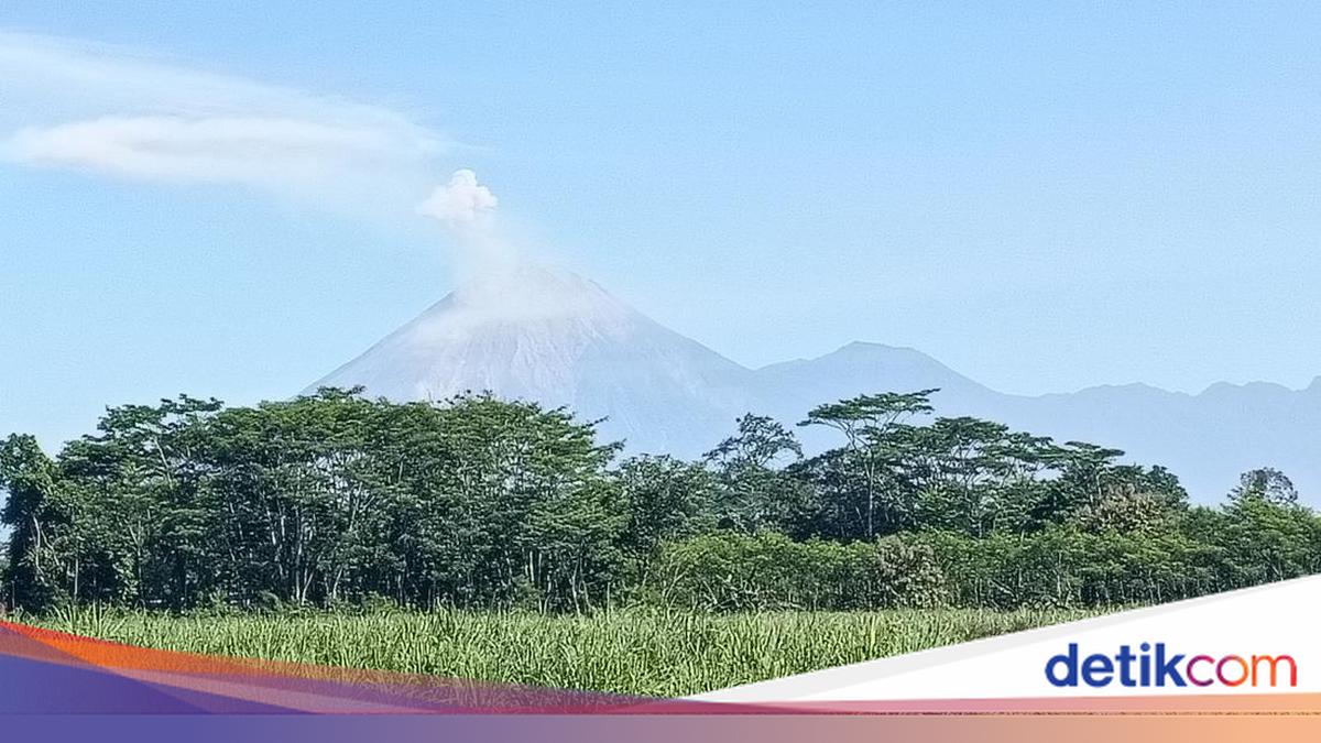 Aktivitas Vulkanik Meningkat, Gunung Semeru Muntahkan Awan Panas Sejauh 4 Kilometer