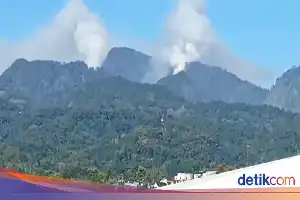 Wildfire Hits Mount Biru Mojokerto, Four Firefighting Teams Deployed to Steep Terrain