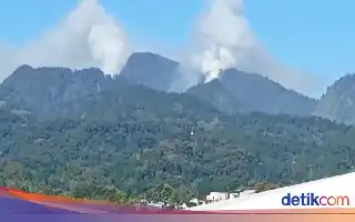 Wildfire Hits Mount Biru Mojokerto, Four Firefighting Teams Deployed to Steep Terrain