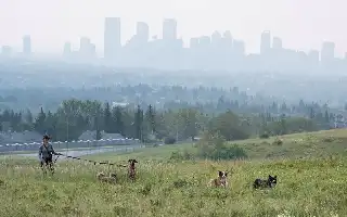 Air Quality Worsens, Calgary Authorities Issue Alert Due to Wildfire Smoke