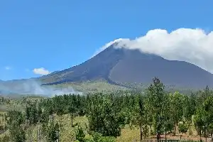 Mount Soputan Protected Forest Fire Spreads, BPBD Estimates Dozens of Hectares of Land Burned