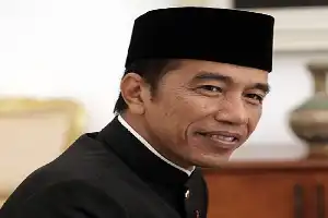 Jokowi's Post-Term Political Safari Seen as Potentially Disrupting National Economic Stability