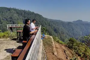 The Charm of Sidawung Coffee: Enjoying the Flavor of Tombo Coffee Amidst Batang's Lush Pine Forest