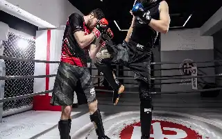UFC Dominates Global Trends as Combat Sports Industry Solidifies Position