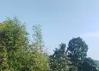 Феномен заморозків охопив вершину гори Геде, BMKG пояснює причину