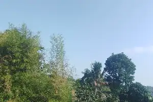 Феномен заморозків охопив вершину гори Геде, BMKG пояснює причину