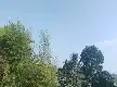Феномен заморозків охопив вершину гори Геде, BMKG пояснює причину