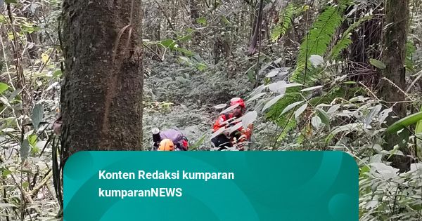 Drama Penyelamatan Lima Hari: Pendaki Jalur Ilegal Semeru Akhirnya Dievakuasi dari Jurang