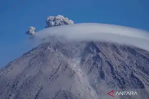Trapped on Illegal Trails, Four Unauthorized Hikers on Mount Semeru Detained by Authorities