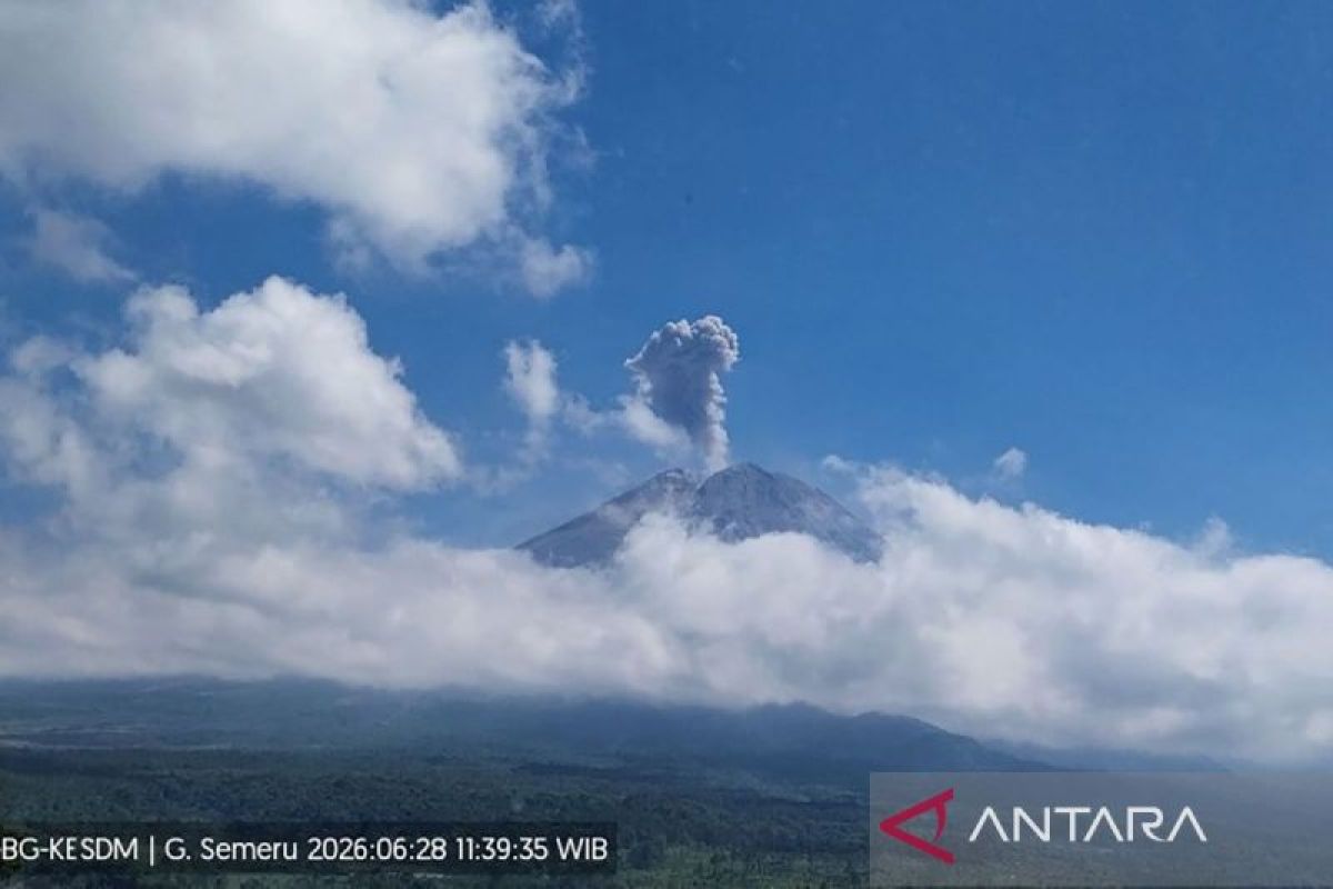 Gunung Semeru Kembali Erupsi, Kolom Abu Capai 1.000 Meter