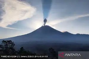 Gunung Semeru Kembali Erupsi, Kolom Abu Capai 1,2 Kilometer