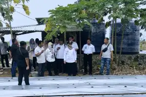 Promoting Modernization of the Agricultural Sector, East Lampung Regency Tests Smart Farming System
