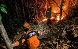 Joint Team Successfully Extinguishes Wildfire in Mount Pucang Area, Lumajang