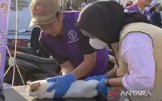 Welcoming the 349th Anniversary, DPKHP Cianjur Expands Free Animal Health Services