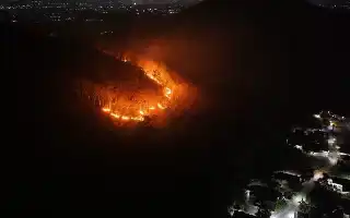 Wildfire Strikes Mount Gombak in Ponorogo, 15 Hectares of Forest Burned