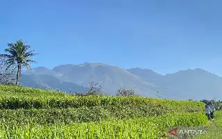 Land Fire on Mount Guntur in Garut Quickly Controlled to Prevent Spreading