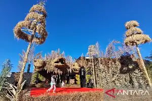 XXV Фестиваль П'яти Гір: святкування зрілості через рефлексію «Ставати дурнішими разом»