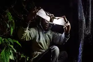 Conmemoración del Día de las Zoonosis: La amenaza de la deforestación y la crisis de salud global