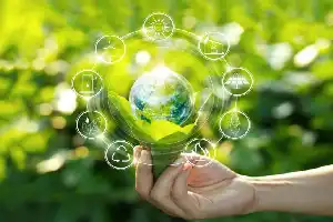 Green Business: An Adaptive Strategy to Create Jobs Amid Layoff Waves