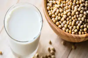 Explorando las ventajas de la leche de soya: Una solución nutricional de origen vegetal para un estilo de vida saludable