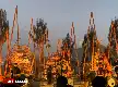 Pesona Jazz Gunung Bromo 2026: Kehangatan Musik Bilal Indrajaya dan Plutato di Tengah Suhu Dingin