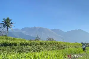 La BBKSDA de Java Occidental confirma que el incendio en el monte Guntur en Garut ha sido totalmente extinguido
