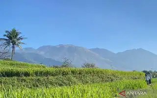 West Java BBKSDA Confirms Land Fire on Mount Guntur Garut Fully Extinguished