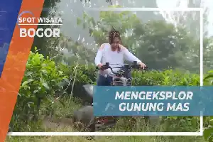 Menjelajahi Jalur Off-Road Gunung Mas: Sensasi Berkendara ATV di Tengah Perkebunan Teh