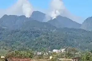 Hambatan Medan Terjal dan Jurang Batasi Upaya Pemadaman Karhutla di Tahura Raden Soerjo Mojokerto